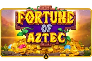 Giao diện nền tảng hay888 hiển thị sportsbook, live casino và slot online trên điện thoại tại Việt Nam